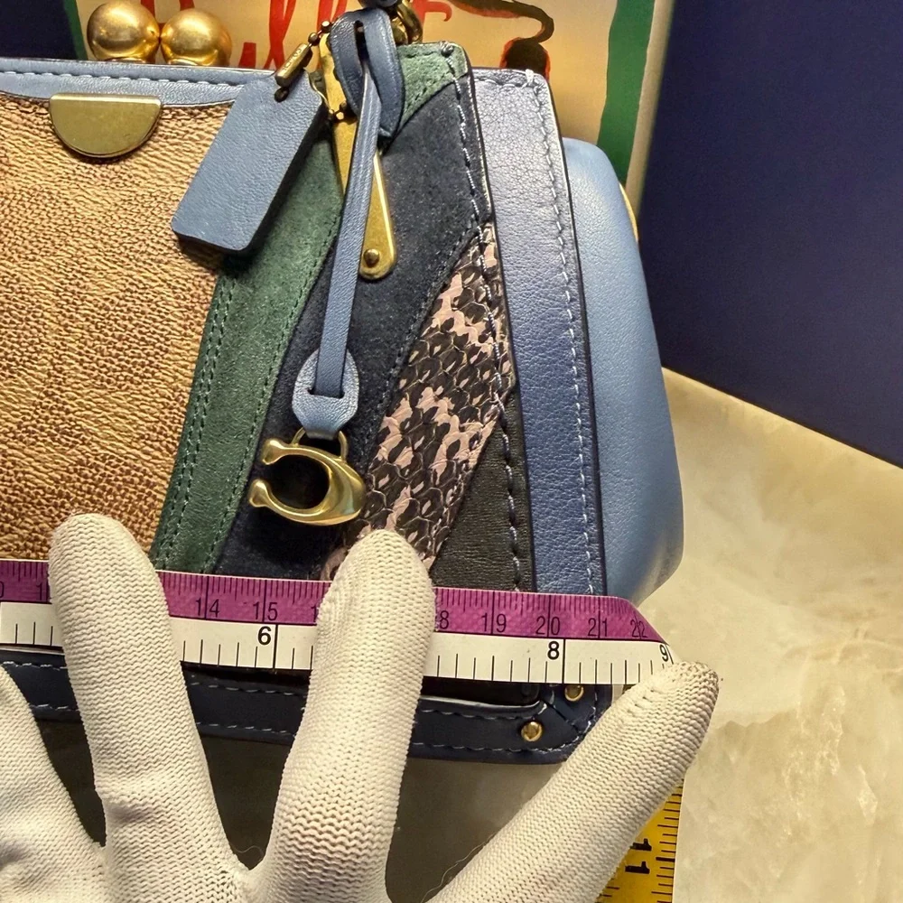 Coach kisslock dreamer 21 snakeskin detail